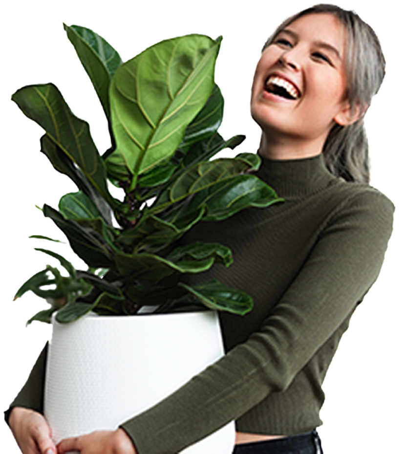 Plant Gift Voucher Image