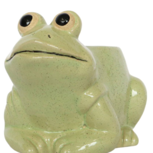 FROG Planter
