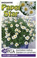 RHODANTHE 'Paper Star'