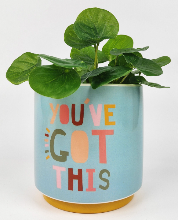 FUNKY QUOTE Planters Echuca Moama Plant Farm