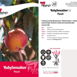 PEACH ‘Ruby Sensation’