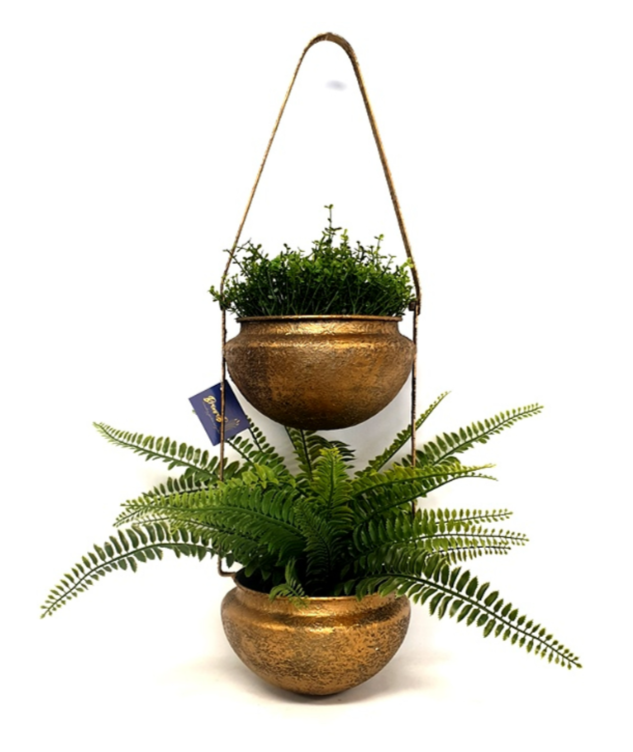 DOUBLE Gold Hanging Planter Echuca Moama Plant Farm