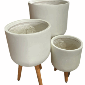 ASHER TRIPOD Varieties