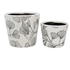 Pot - Ginko