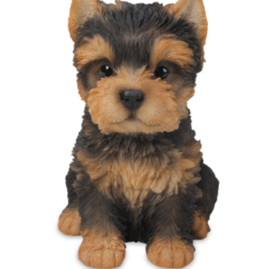 Yorkshire Terrier Sitting – Small