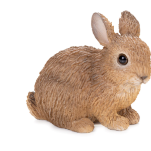 Small Bunny Squatting – Brown