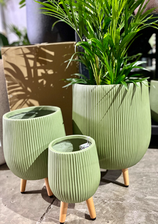 VERA Cigar Tripod Pots Echuca Moama Plant Farm