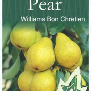 PEAR ' Williams Bon Chretien'