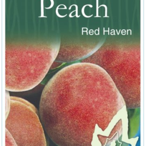 PEACH 'Red Haven'