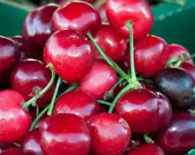 CHERRY 'BING'