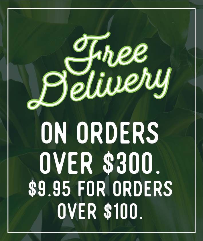 Free Delivery over $300