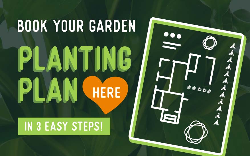Planting Plan graphic