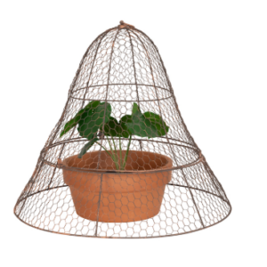 Cloche 2PC Dome Set Copper