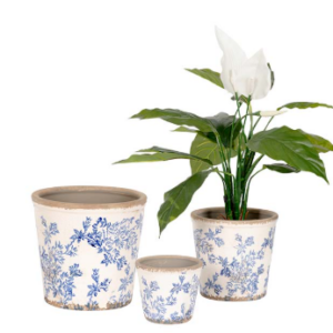 Pot Blue Flower Tall