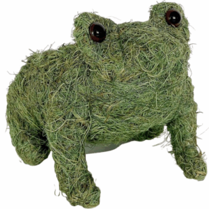 HUSK Frog Planter Green