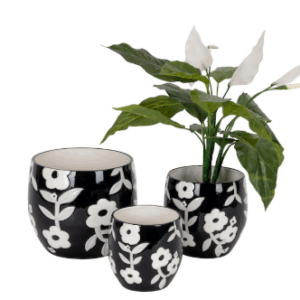 Black and White Pot
