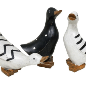 Ducks Set