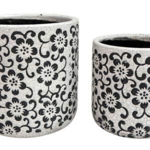 POT- Daisy Chain