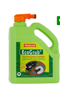 ECOGRUB H