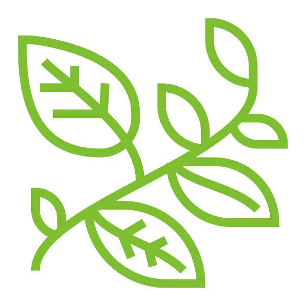 Climbing Plants