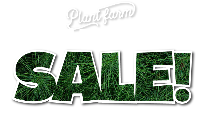 EOFY Banner 20% Sale