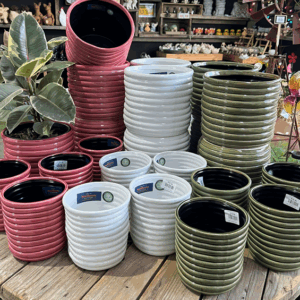Nile Pot