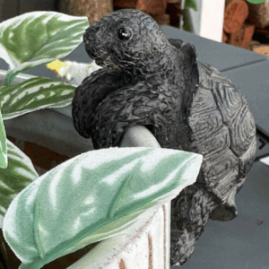 Climbing Turtle Pot Sitter