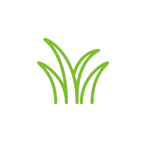 Grass