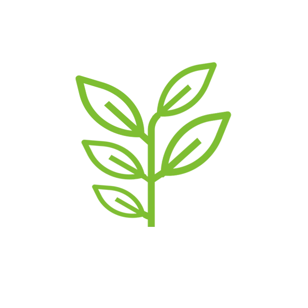 Shrub