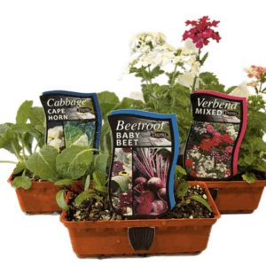 SEEDLING PUNNET
