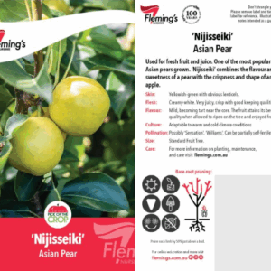 PEAR 'Nijisseiki' (Nashi Pear)