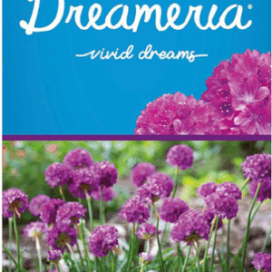 ARMERIA Dreameria 'Vivid Dreams'