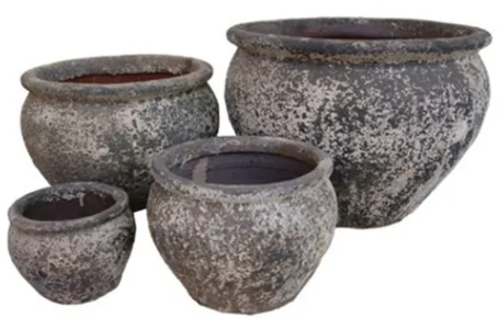REEF Planter