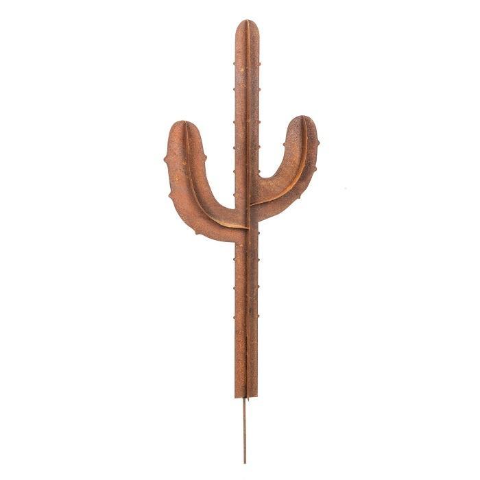 CACTUS Rust