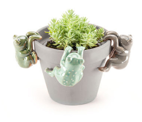 FROG Pot Sitters