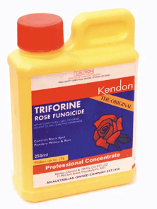 TRIFORINE Rose Fungicide