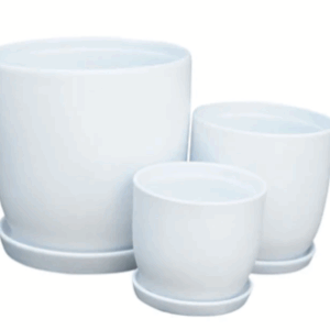 JESSA Egg Pots