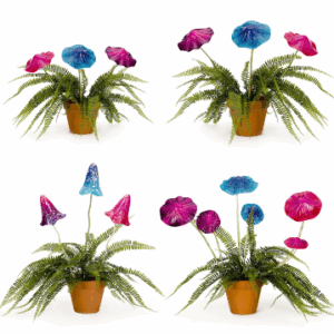 MUSHROOM Mixed Fairy Stakes