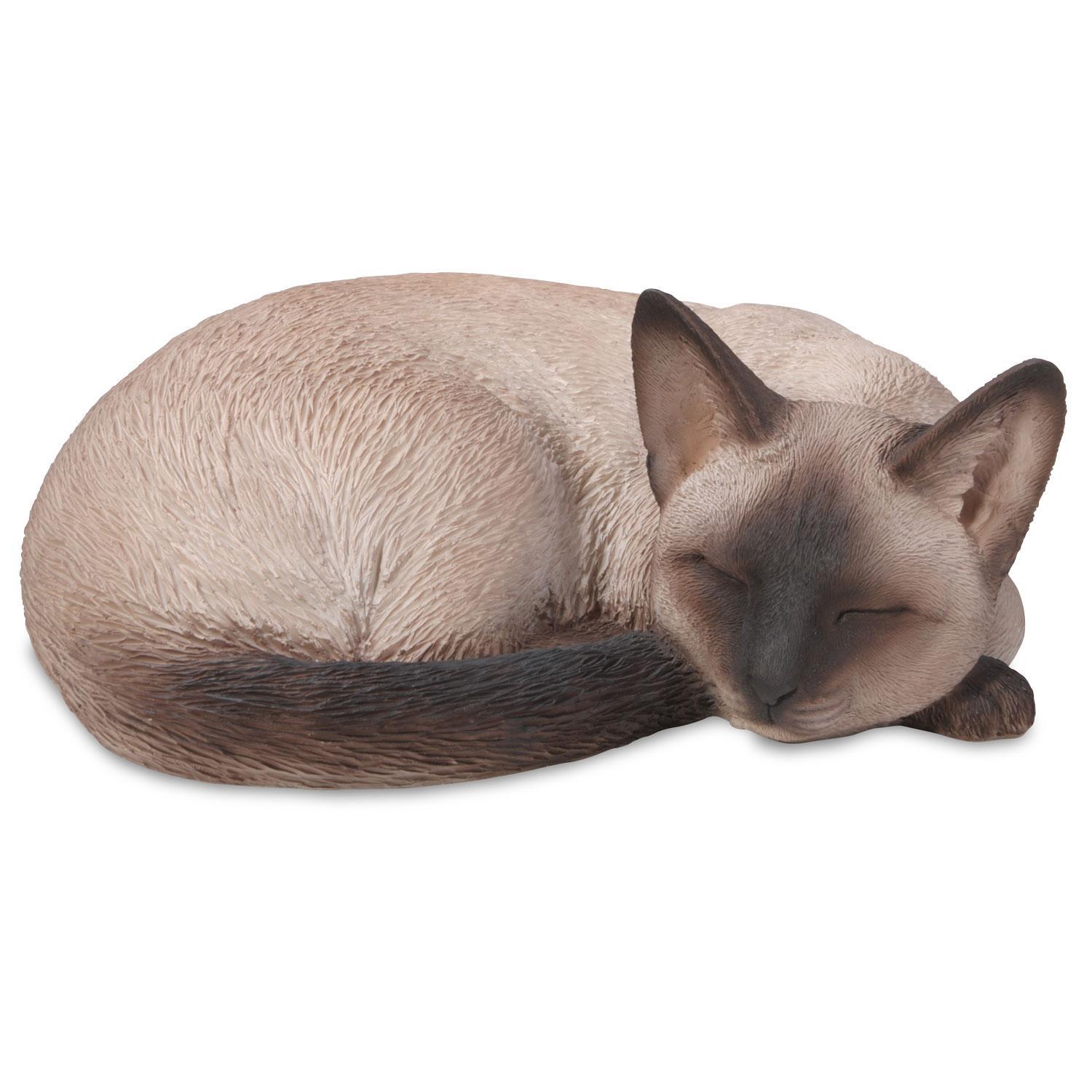 Siamese Cat – Sleeping