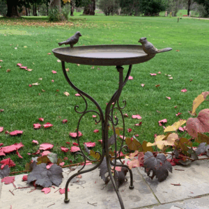 BIRD BATH on Stand