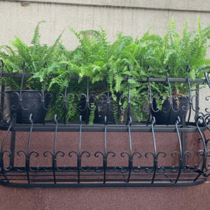 Wall Pots Planters Satin Black