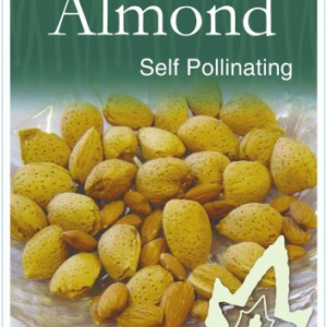 ALMOND Self Pollinating