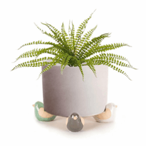BIRD Pot Feet