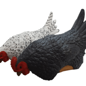 SITTING Hen