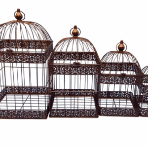 Birdcage Square Rust