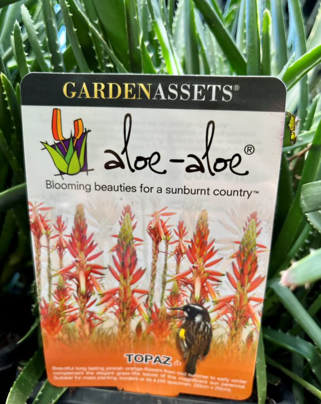 clinique aloe shave gel BENTON Aloe Soothing Mask Pack