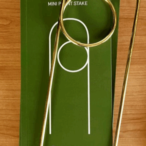 IVY MUSE Mini Plant Stakes