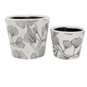 Pot - Ginko