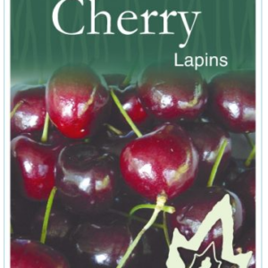 CHERRY 'Lapins' 2026 B/R