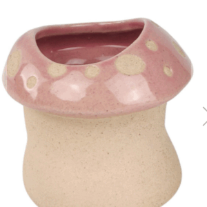 MUSHROOM Planter